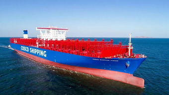 新年開門紅！中遠海運多艘新船命名交付，助力國際海運物流網絡優化升級